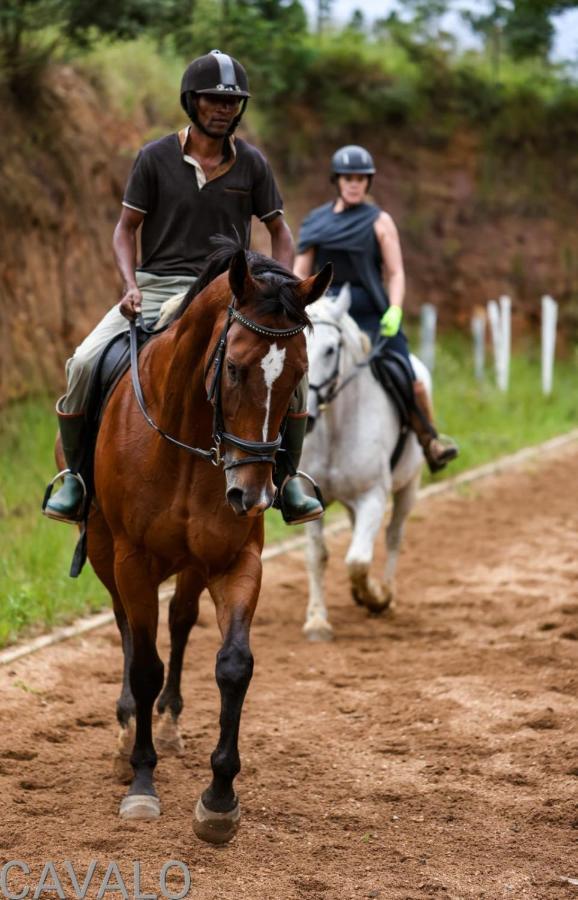 Cavalo Guesthouse & Equestrian Estate Drummond Esterno foto