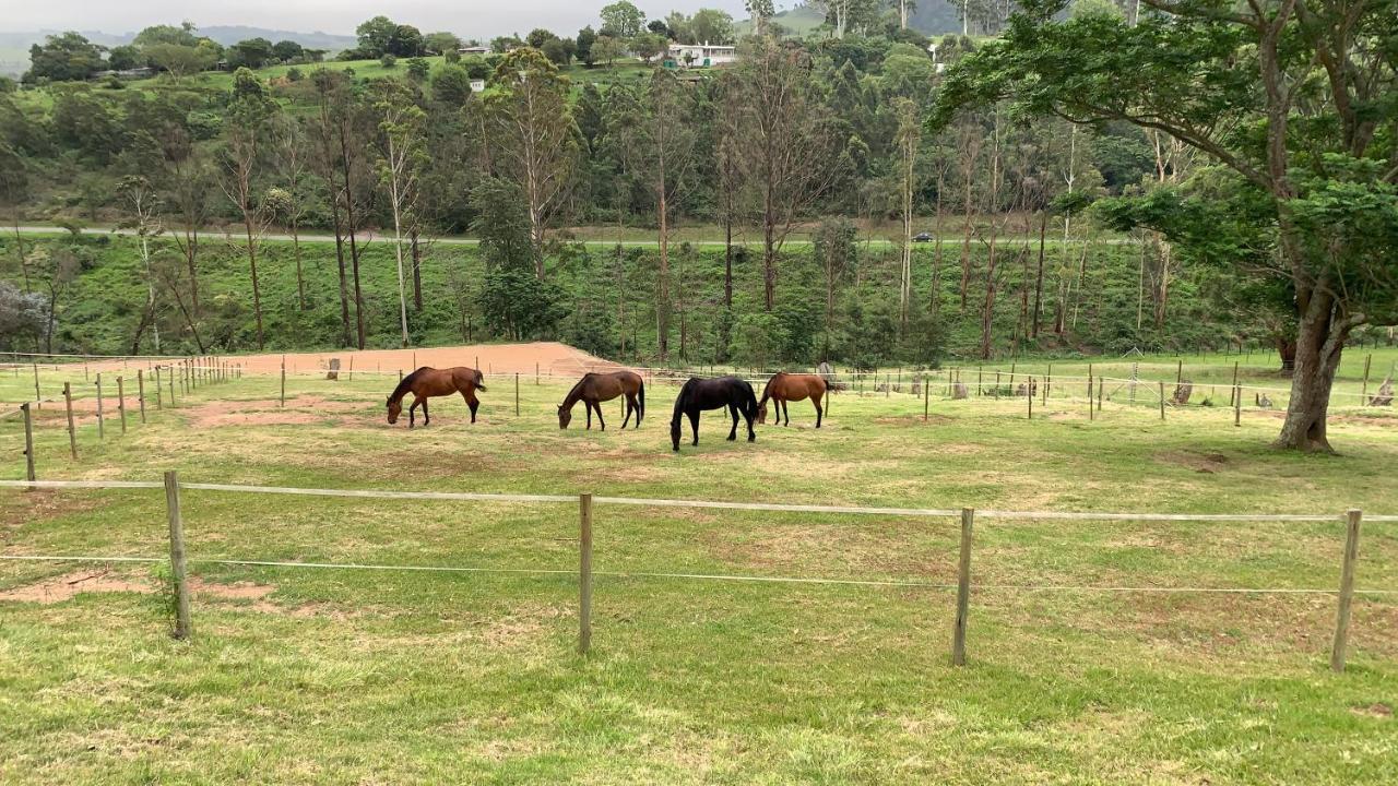 Cavalo Guesthouse & Equestrian Estate Drummond Esterno foto