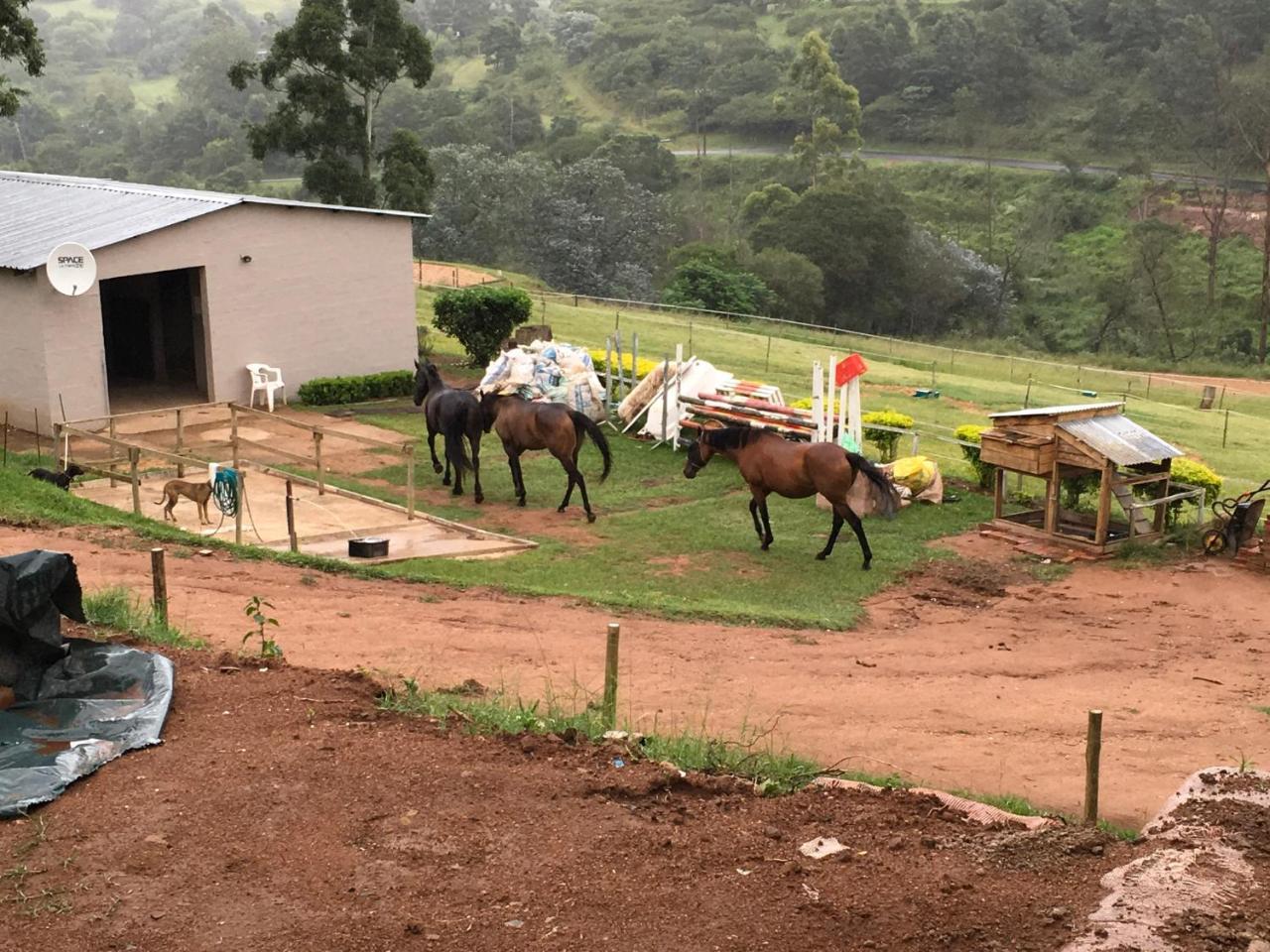 Cavalo Guesthouse & Equestrian Estate Drummond Esterno foto