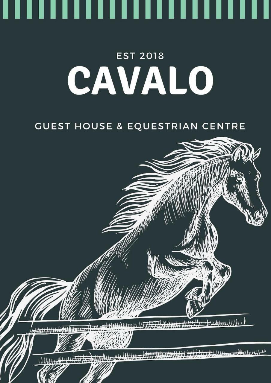 Cavalo Guesthouse & Equestrian Estate Drummond Esterno foto